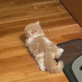 Telegram profile photo for блог легенды Кейта