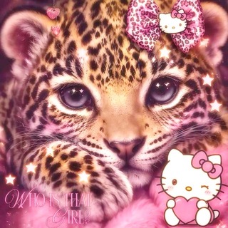 Telegram profile photo for 22:22