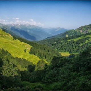 Telegram profile photo for Отдых в Абхазии