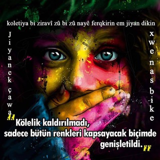 Telegram profile photo for Şopdarê Heqîqetê 🇬🇫