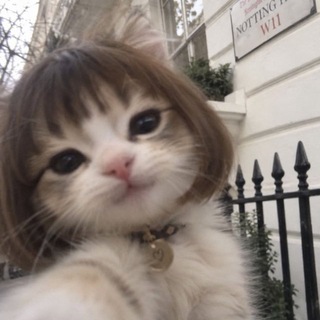 Telegram profile photo for Certified Vibe Dealer