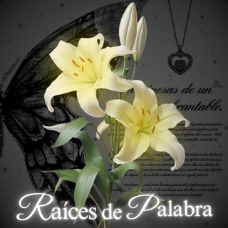 Telegram profile photo for HIAT 𓉳 RAÍCES DE PALABRA
