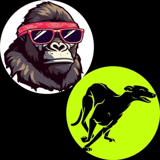 Telegram profile photo for DUMBMONEY ECOSYSTEM