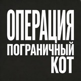 Telegram profile photo for Операция "Пограничный Кот"