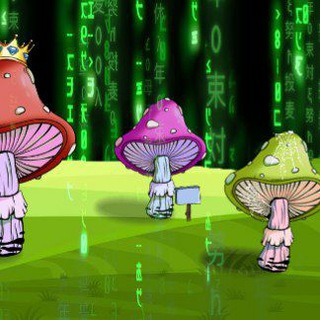 Telegram group profile photo for Ton MUSHROOMs NFT чат.
