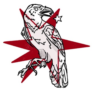 Telegram profile photo for ❤️ SOPESTARS🖤