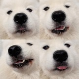 Telegram profile photo for Keenan's.