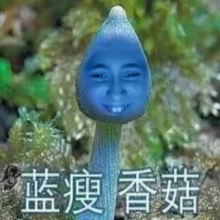 Telegram profile photo for Щп сеrжанtа кит1ка. 𓆊