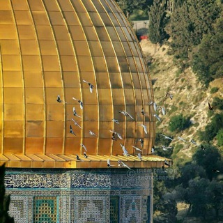 Telegram profile photo for وجَنَىَ الجَنَّتَينِ دَان