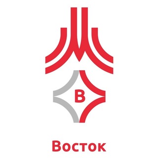 Telegram profile photo for ГБУ ДО МКСШОР «ВОСТОК»