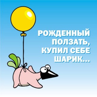 Telegram profile photo for Рождённый ползать купил себе шарик