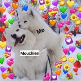 Telegram profile photo for Free unsubs ๐๐น๐ณ๐ต๐ฒ๐ถ๐บ๐ฟ