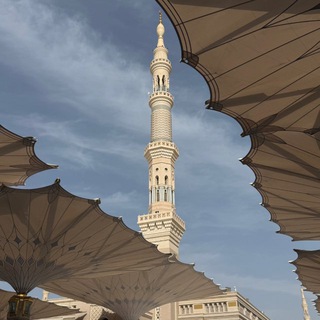 Telegram profile photo for قناة أبي حنيف