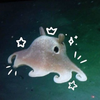 Telegram profile photo for Octopus confession!