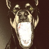 Telegram profile photo for 14ct