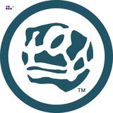 Telegram profile photo for Properā TM