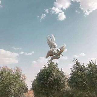 Telegram profile photo for زاد الرحيل"🍃