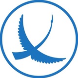 Telegram profile photo for Первый Экономический