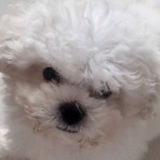 Telegram profile photo for 김그린의 GreenWorld(일기장)