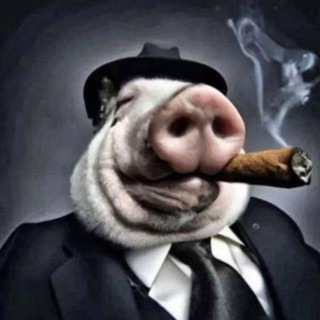 Telegram profile photo for Подсушено | Чайный клуб амагин (цитатник маруси)