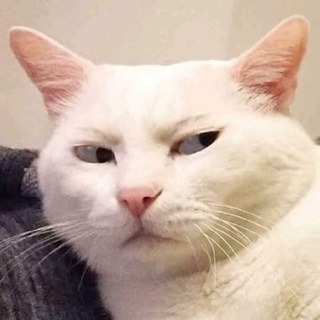 Telegram profile photo for Hust Airdrop