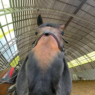 Telegram profile photo for поля я
