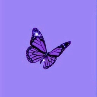 Telegram profile photo for ČHR🦋💜
