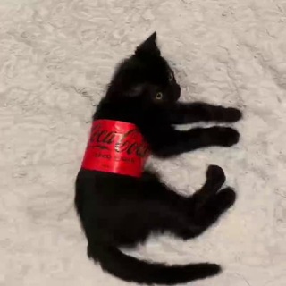 Telegram profile photo for KTTK (рестик маленький сладенький)
