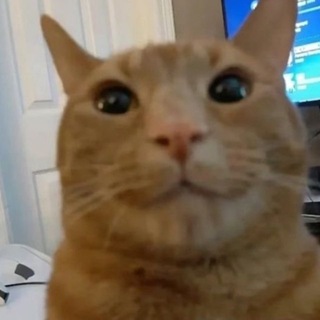 Telegram profile photo for прикольная фигнюшка !ГГ