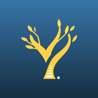 Telegram profile photo for Python Backend | YeaHub