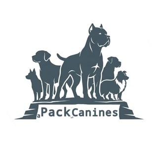 Telegram profile photo for РЕСТ | СТАЯ "APOC" | ᴾᵒⁿʸ ᵀᵒʷⁿ | 🐕
