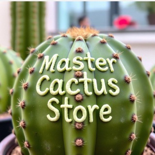 Telegram profile photo for 🌵Mastercactus Store🌵