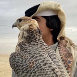 Telegram profile photo for فَــطــْرَة📻
