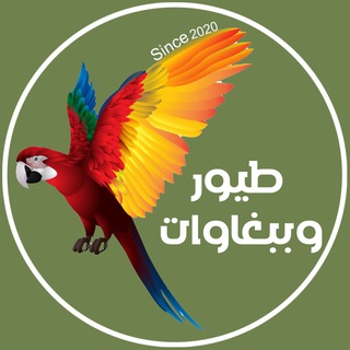Telegram profile photo for 🦜🐥طيور وببغاوات🐥🦜