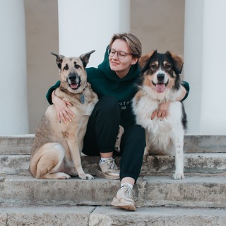 Telegram profile photo for собака по любви