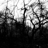 Telegram profile photo for cemetery