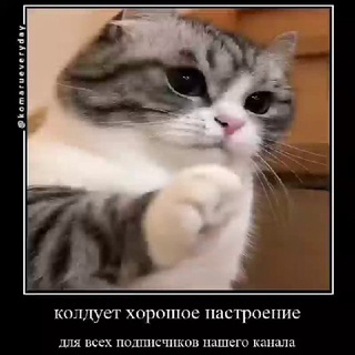 Telegram profile photo for Паблик коттега вход