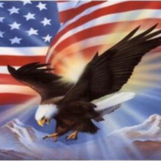 Telegram profile photo for Digital News Gathered