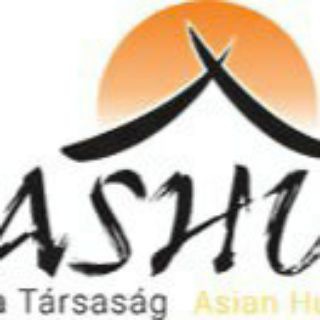 Telegram profile photo for Ázsia - ASHU.hu ➡️...hogy ne tévedj el Ázsiában 🌏