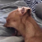 Telegram profile photo for Rain_aest_life