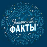 Telegram profile photo for Опросы и факты