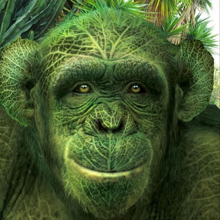 Telegram profile photo for Мораль думайте сами