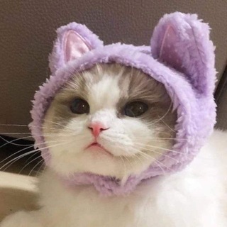 Telegram profile photo for all about ccxsmm