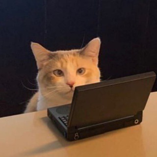 Telegram profile photo for Последний Приют