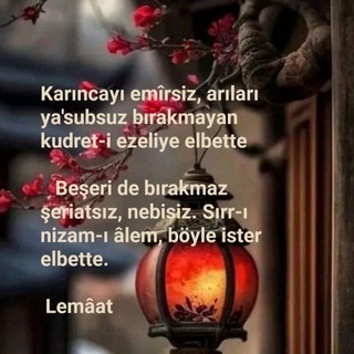 Telegram profile photo for Lemaât-Âsâr-ı Bediiyye (Yusuf Selami Hoca)