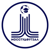 Telegram profile photo for МосСтудФутзал | Московская Студенческая Футзальная Лига