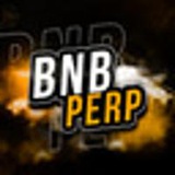 Telegram profile photo for BNBPerp
