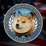 Telegram profile photo for Department Of Government Efficiency