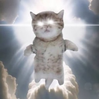 Telegram profile photo for $UPTOBER CTO Portal