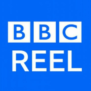 Telegram profile photo for BBCreel